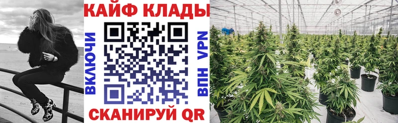 Купить закладку Арамиль Псилоцибиновые грибы  АМФЕТАМИН  Марихуана  A PVP 