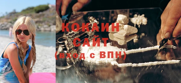 соль ск Алзамай