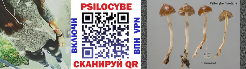 Псилоцибиновые грибы мицелий  Арамиль 